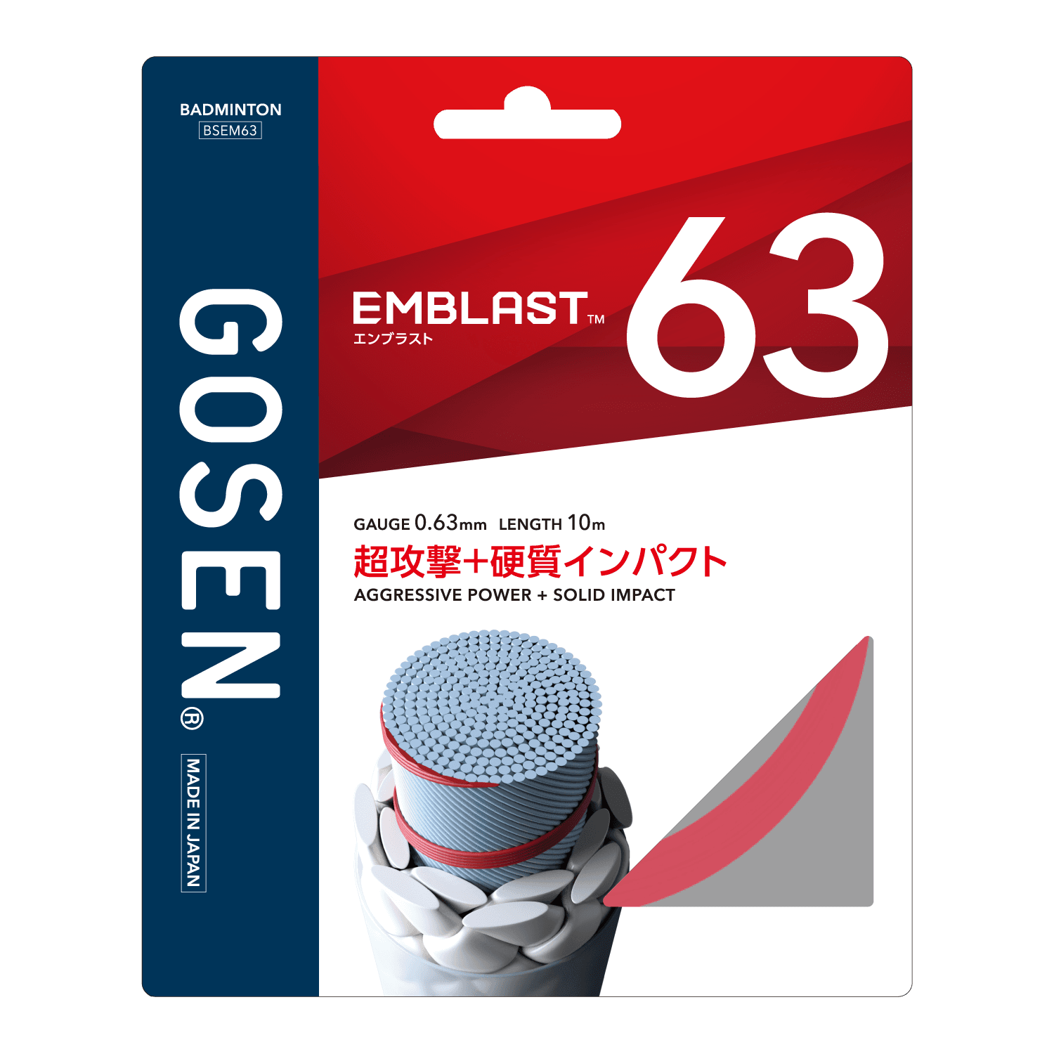 BSEM_63_LR_ab01e3f193.png