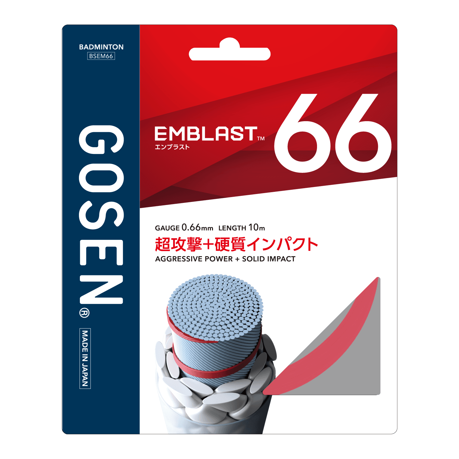 BSEM_66_LR_00d3da9a91.png