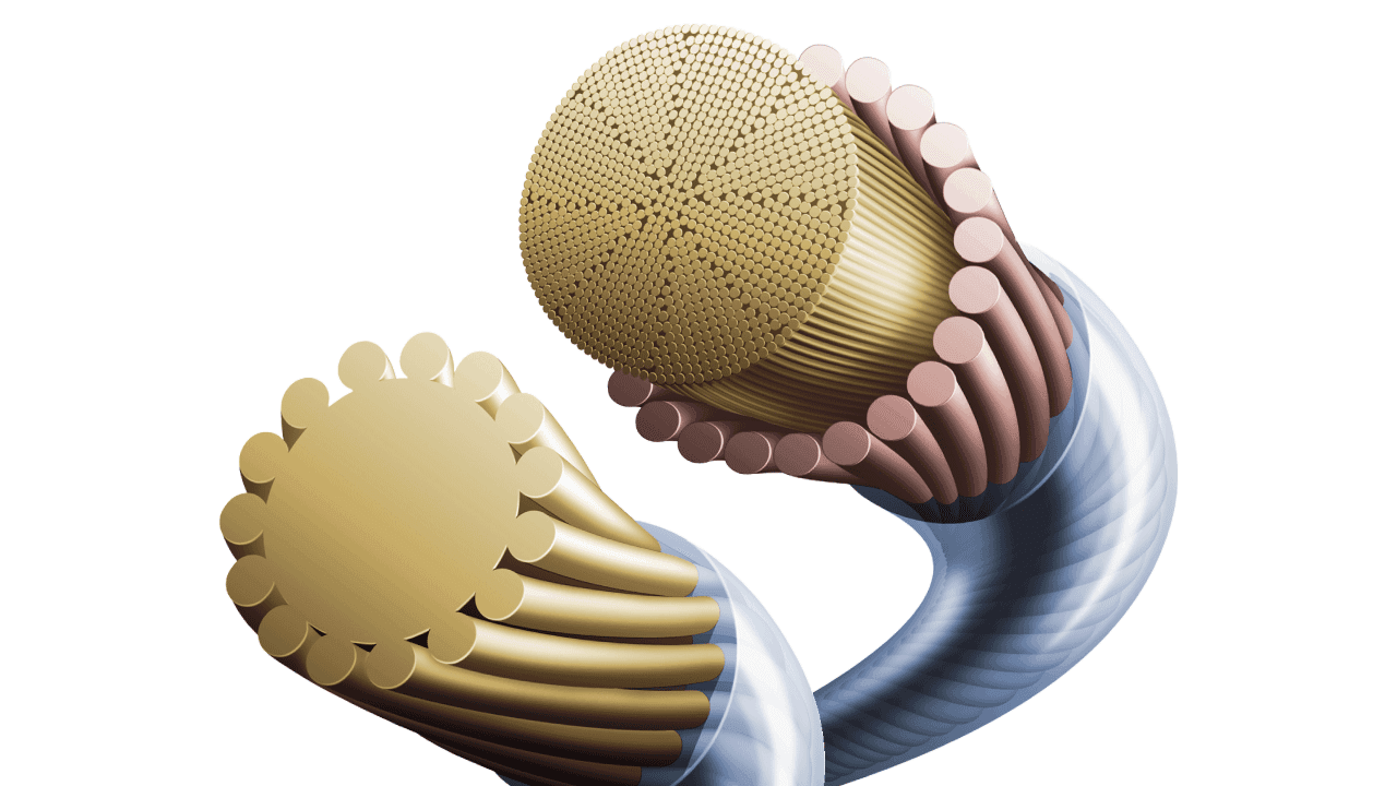 GOSEN X | ソフトテニス | ラケットスポーツ | 株式会社ゴーセン